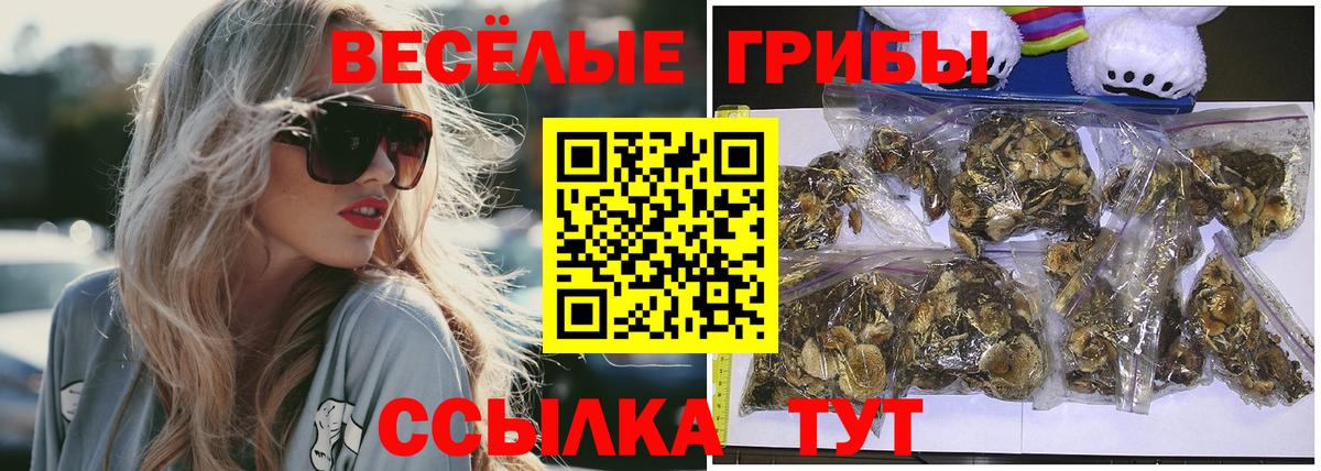 Псилоцибиновые грибы Psilocybine cubensis  Вход с VPN  Нальчик  купить наркотики цена  Псилоцибиновые грибы Psilocybe 