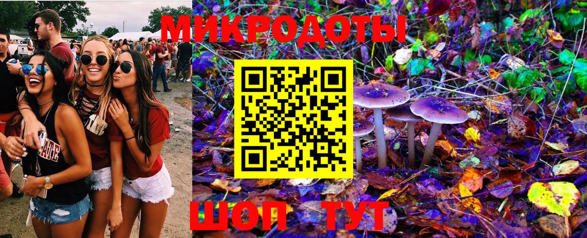Галлюциногенные грибы MAGIC MUSHROOMS Нальчик